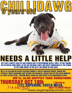 Costa Mesa Steeler Fan