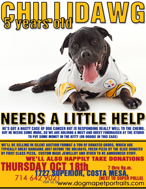 Costa Mesa Steeler Fan